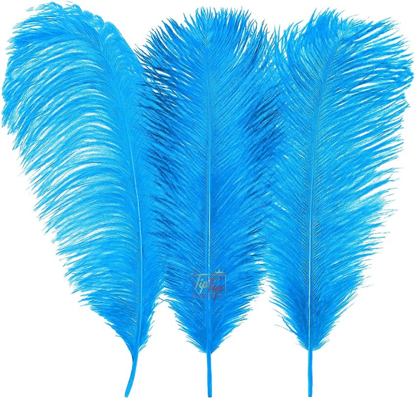 Utkarsh Natural Dyed Multicolor Multi-Purpose Craft Feathers (Approximately  80pc) for Dream Catcher Artificial Jewelry Making Art & Craftworks  Decorations Diy Hobby Crafts Kids Projectworks Scrapbooking - Natural Dyed  Multicolor Multi-Purpose Craft