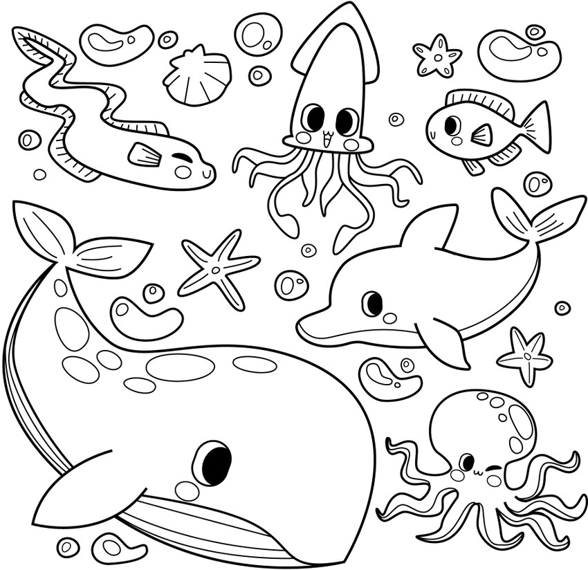 RBD Coloring Drawing Paper Roll for Kids 26X12 Inch Large