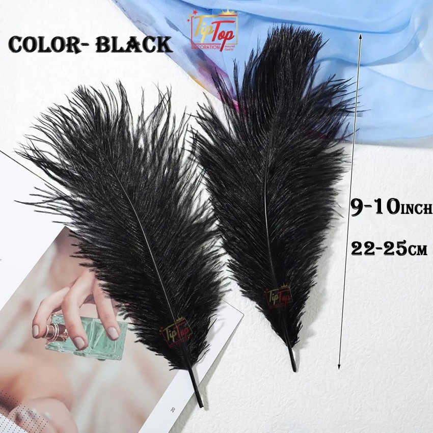 Ostrich deals black feathers