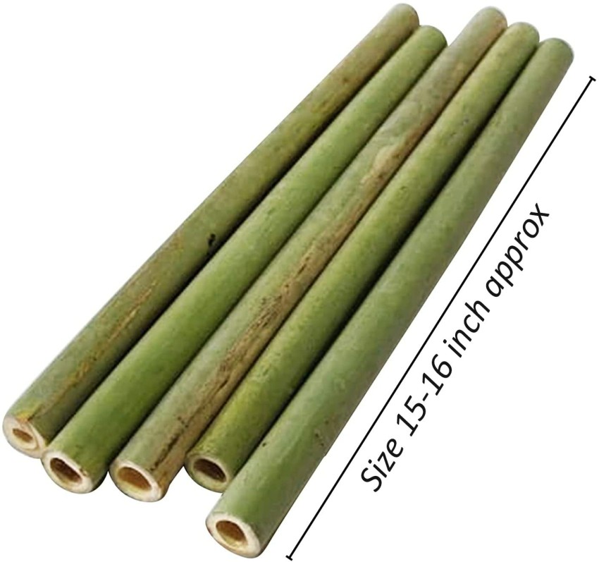 GIFTI SKY Natural Bamboo Sticks with Hole,Size-15-16 Inchs,Unfinished Raw  for Art & Crafts - Natural Bamboo Sticks with Hole,Size-15-16  Inchs,Unfinished Raw for Art & Crafts . shop for GIFTI SKY products in
