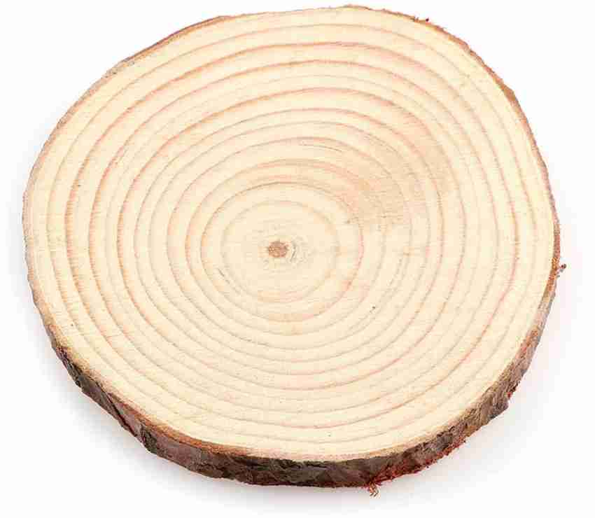 Natural Wood Slices - 9