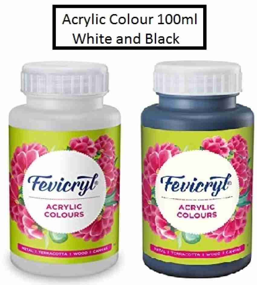 Fevicryl acrylic store colours 100ml