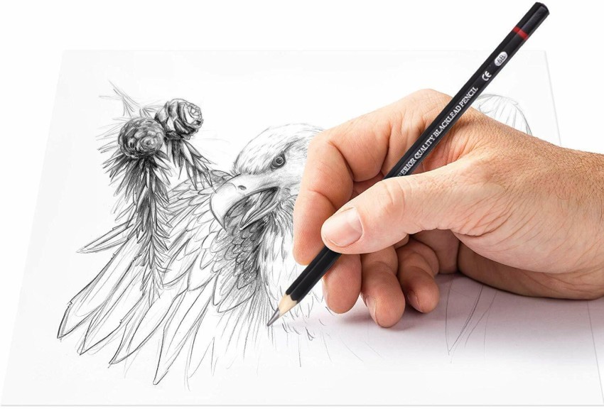 https://rukminim2.flixcart.com/image/850/1000/xif0q/art-set/e/d/1/12-piece-drawing-pencil-sketch-pencils-set-for-artists-graphite-original-imagmnvqvgzgg9ee.jpeg?q=90