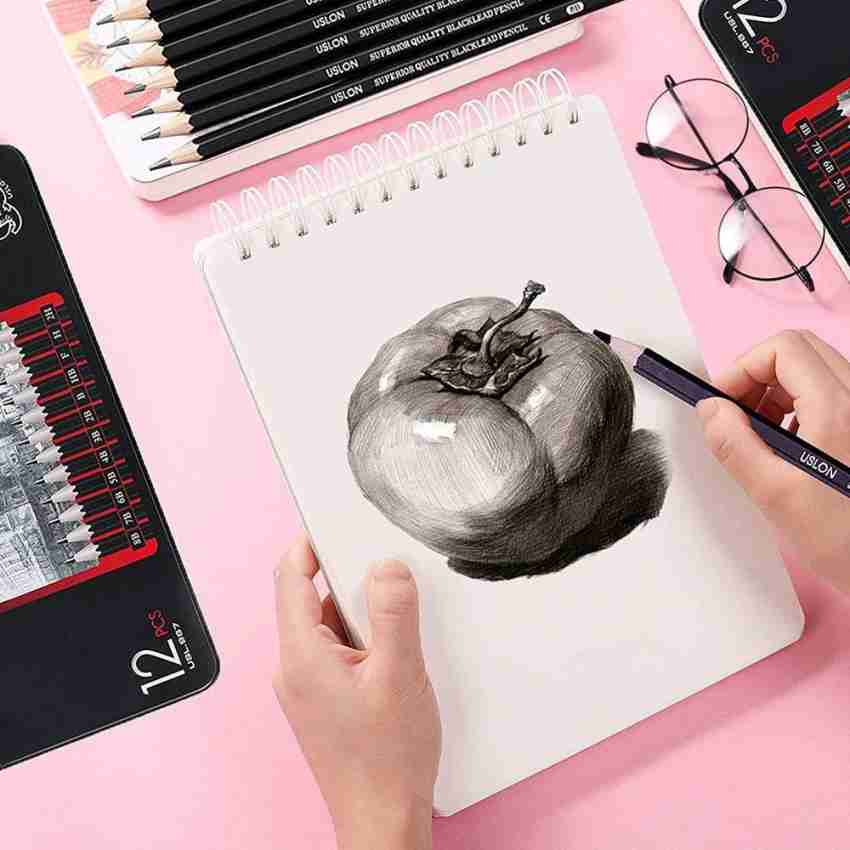 Drawing Sketch Pencils 12 Piece Professional Artist Graphite Shading Art  Tools