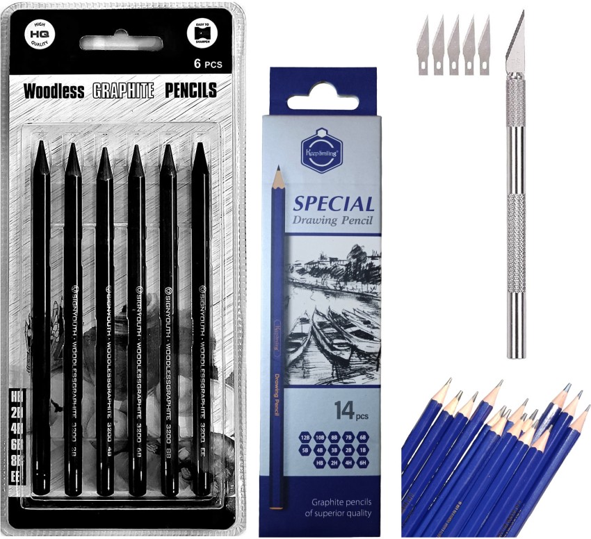 URBAN BOX Art Sketching Pencils Set of 12 Pencils Artist Grade Degree  Pencils 10B 8B 6B 5B 4B 3B 2B B HB 2H 4H and 6H with 6 Stumps and  2 White