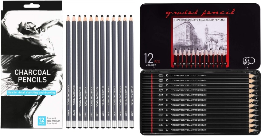 Professional Charcoal Pencils Drawing Set - 12 Pieces Soft Medium and Hard  Charcoal Pencils for Drawing, Sketching, Shading, Artist Pencils for