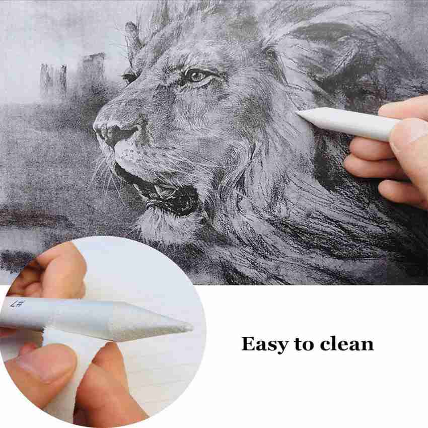 Definite Paper Art Blending Stumps White or Tortillon for  Student Artists Professionals Sketching Shading Drawing with Sand Paper  Stick for Sharpening Pastel and Charcoal Pencils, One 13cm Pencil Extender  and