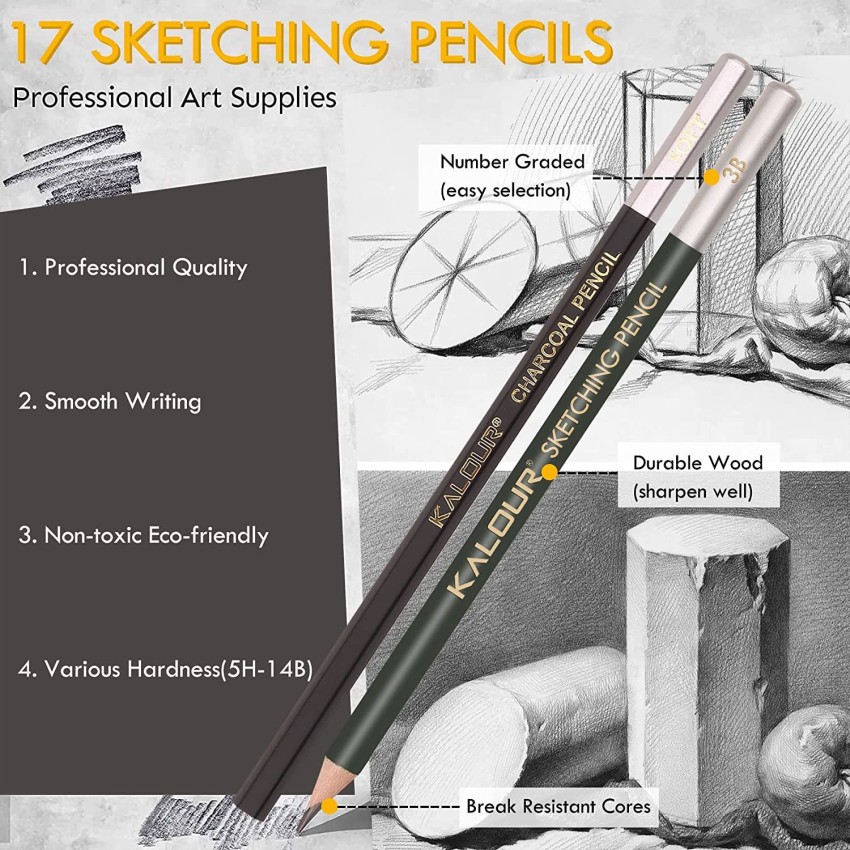 Drawing Pencils - 17 Piece Sketch Pencils Set, Professional Drawing Pencils  for
