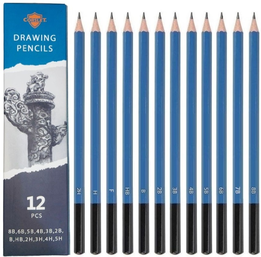 ChiggiWiggi 12 Artist Graphite Drawing Pencil Set for Sketching