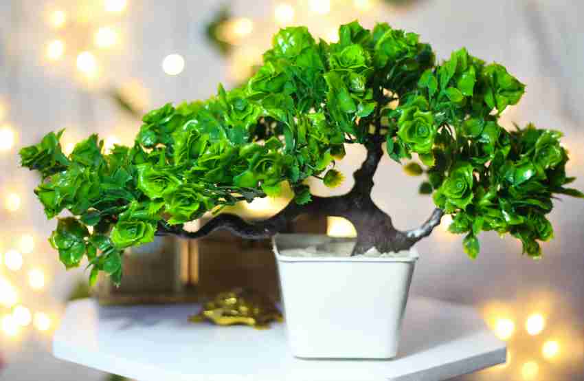 10 Inches Polyscias Fruticosa Bonsai Artificial Plants, For Interior  Decoration at Rs 2975 in Bengaluru