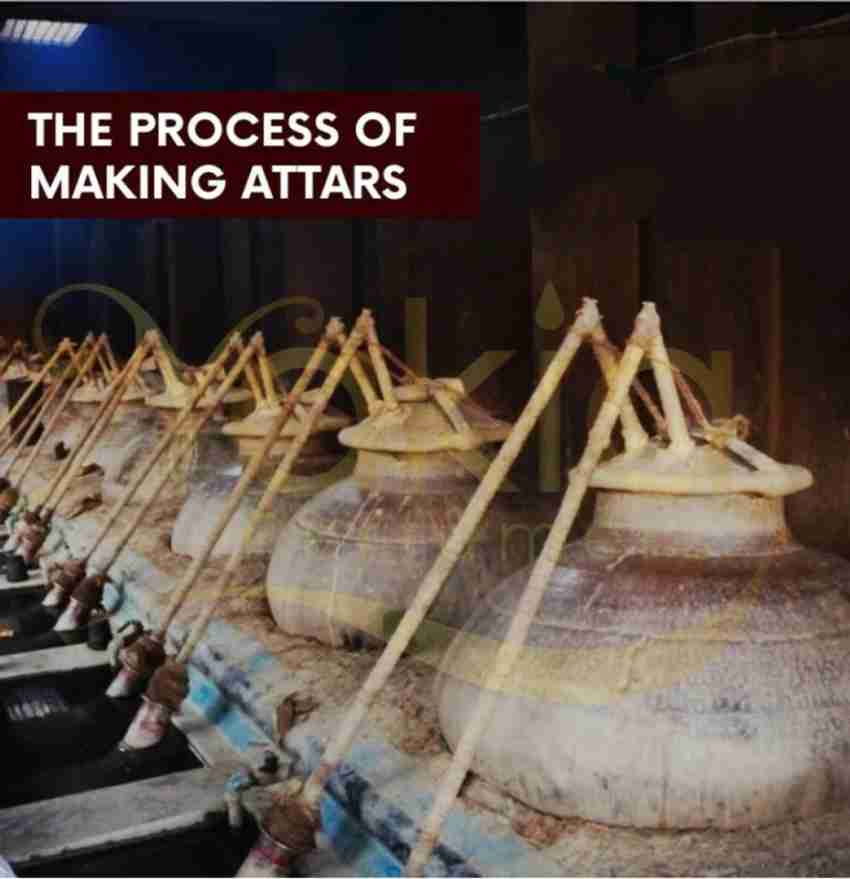 Zubaida attar deals