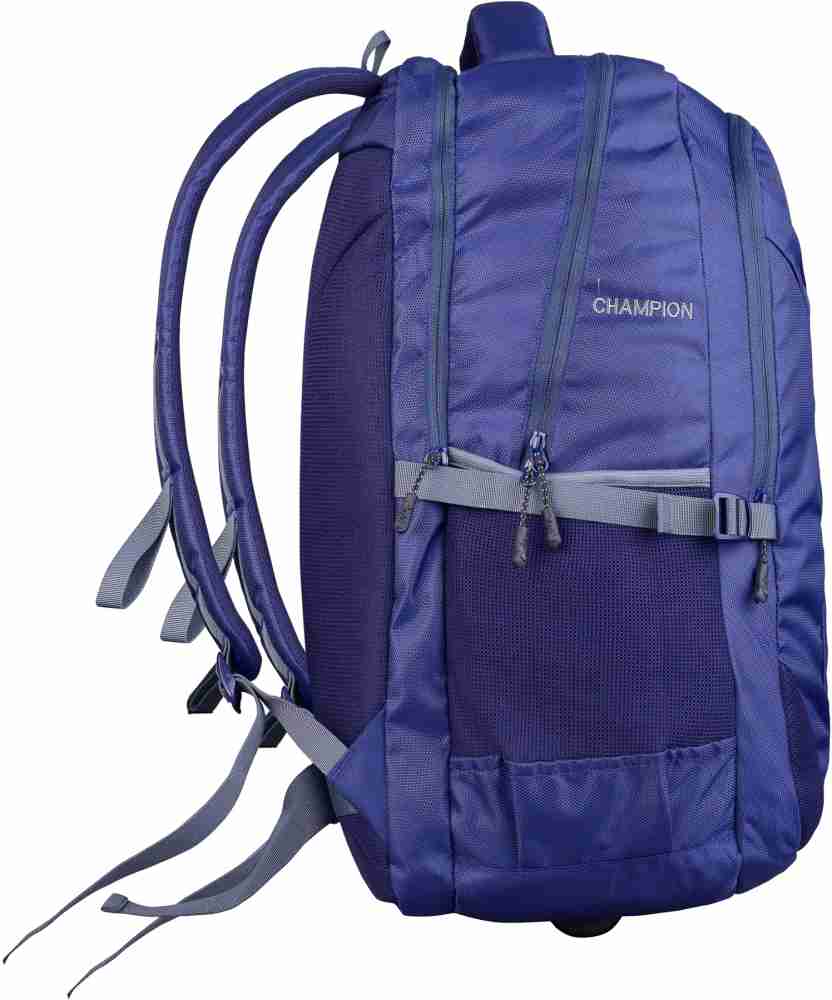 Champion hotsell purple backpack