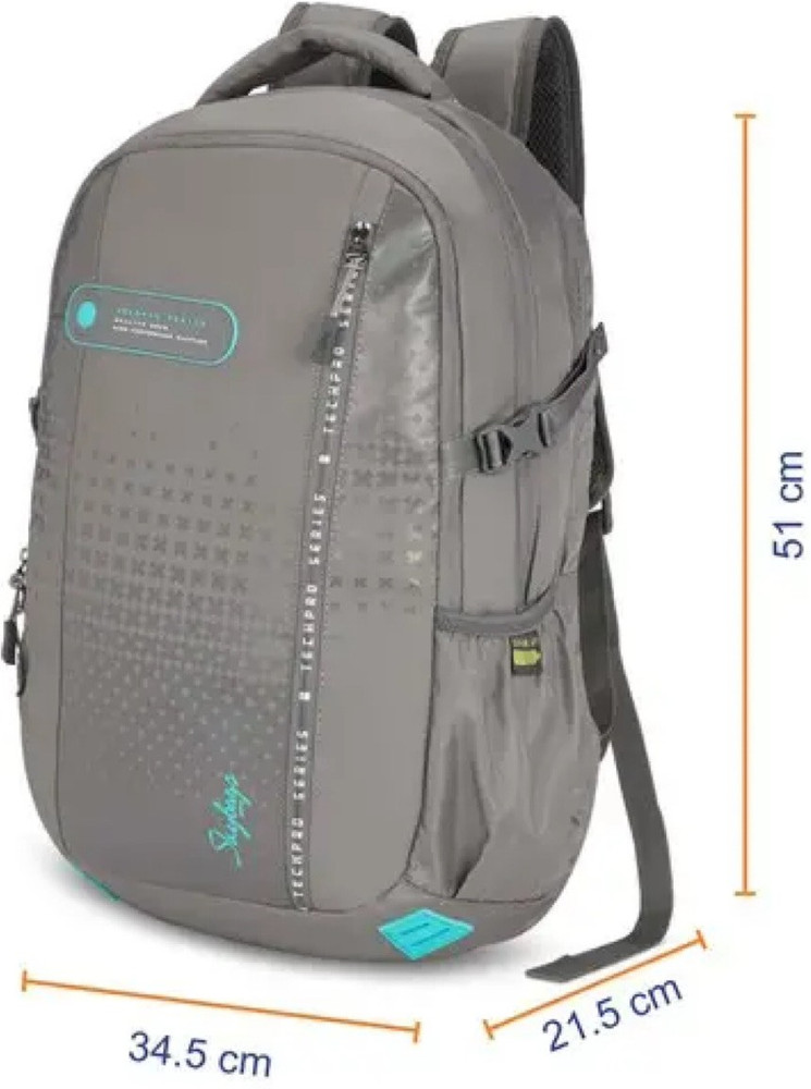 Skybags ion 36 cheap ltrs grey laptop backpack
