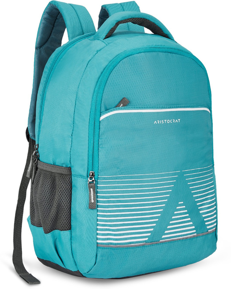 ARISTOCRAT Polyester 26L Kane Backpack H Light Blue For Men