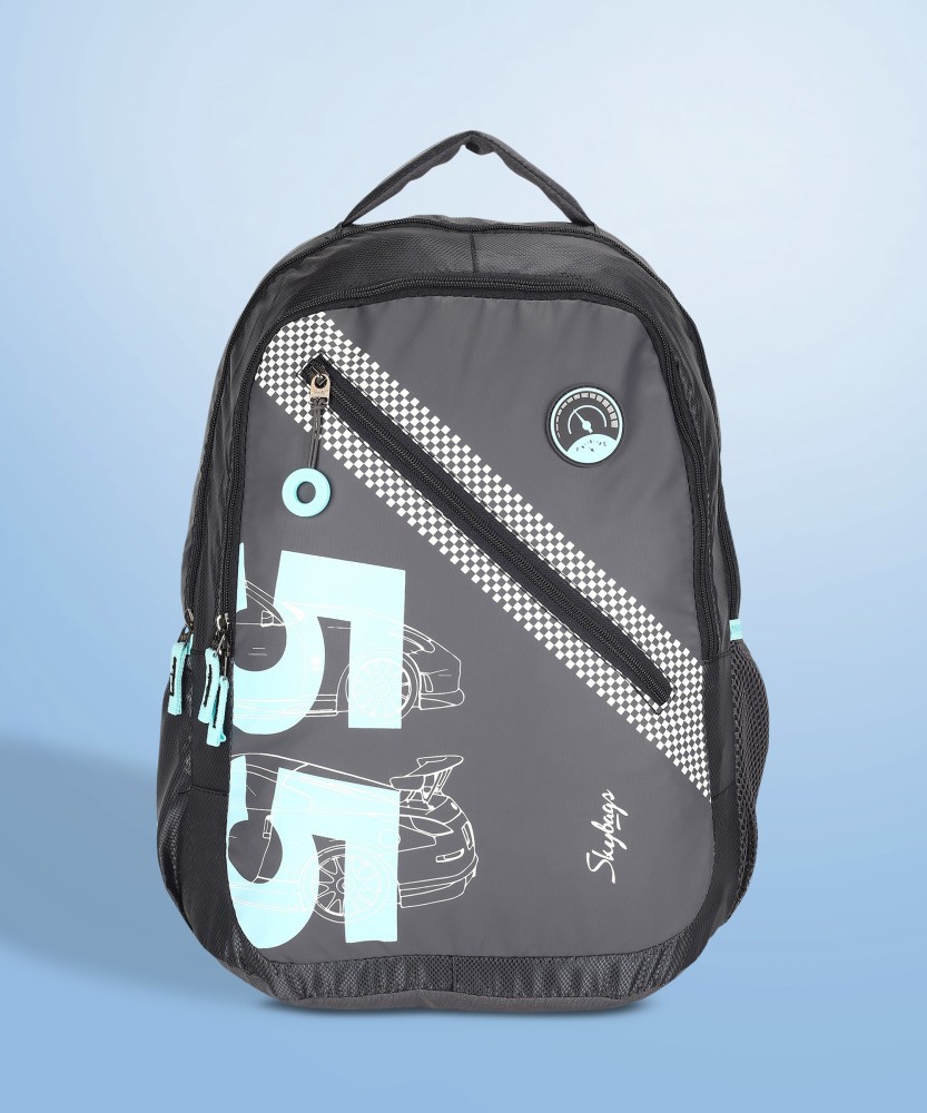 Flipkart college bags online skybags