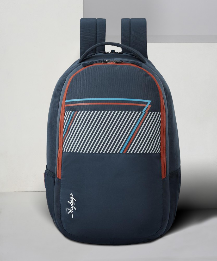 Flipkart cheap skybags backpacks