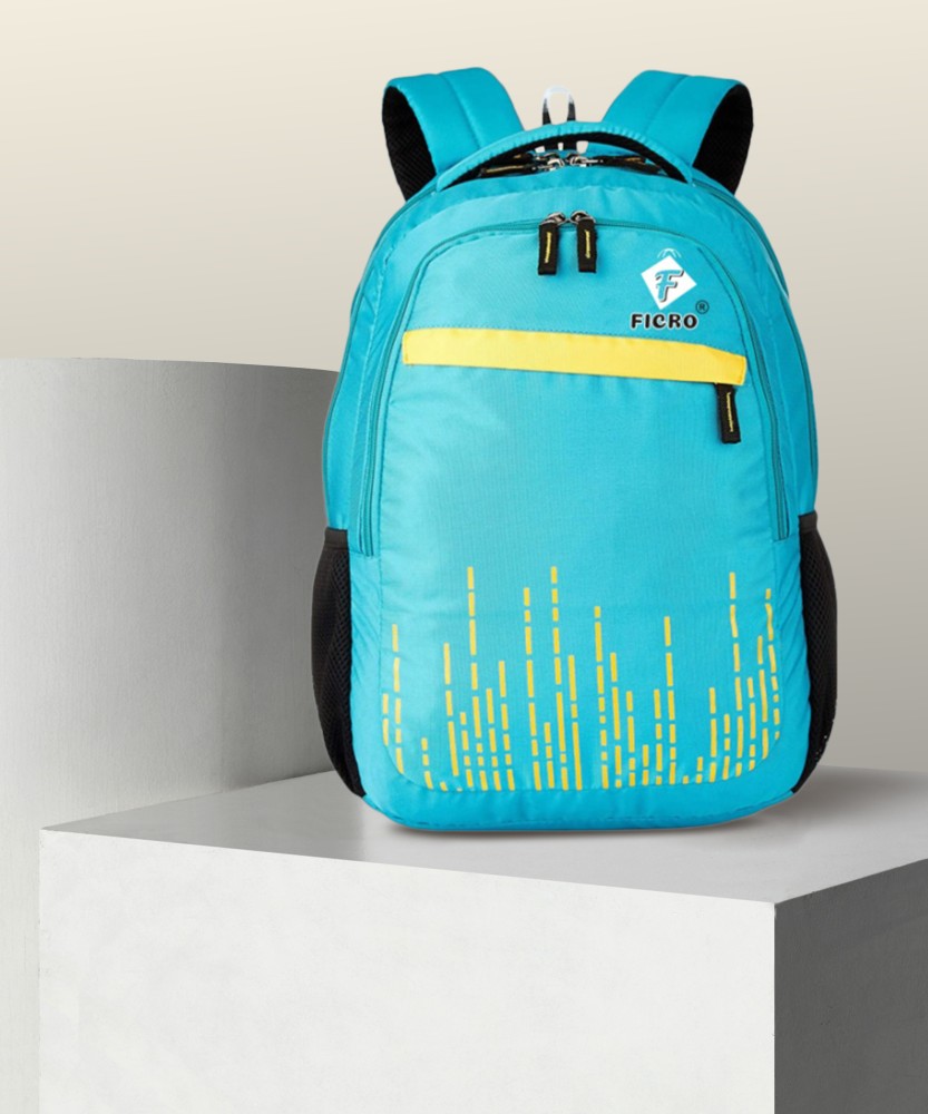 Flipkart 2024 college bags