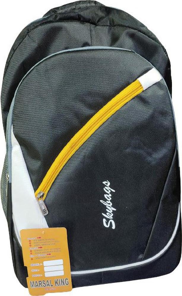 Flipkart skybags deals school bags