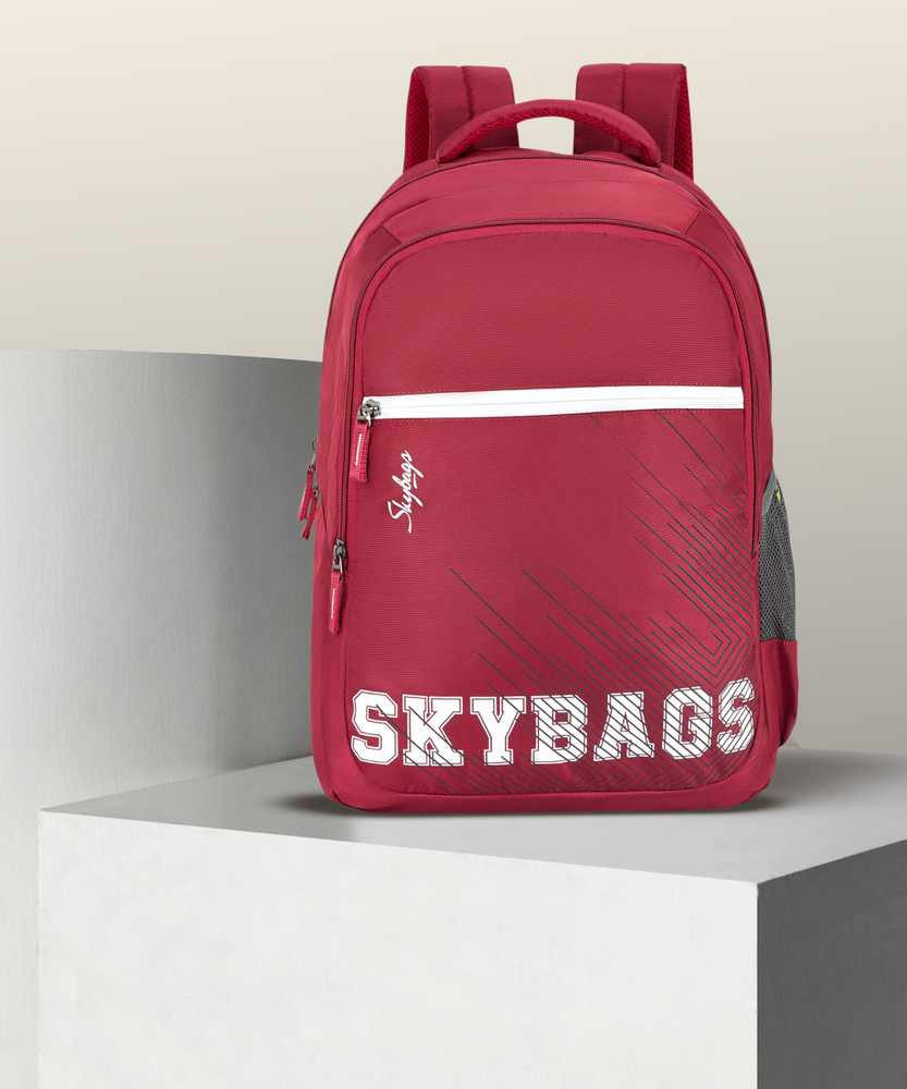 Skybags laptop bags flipkart hot sale