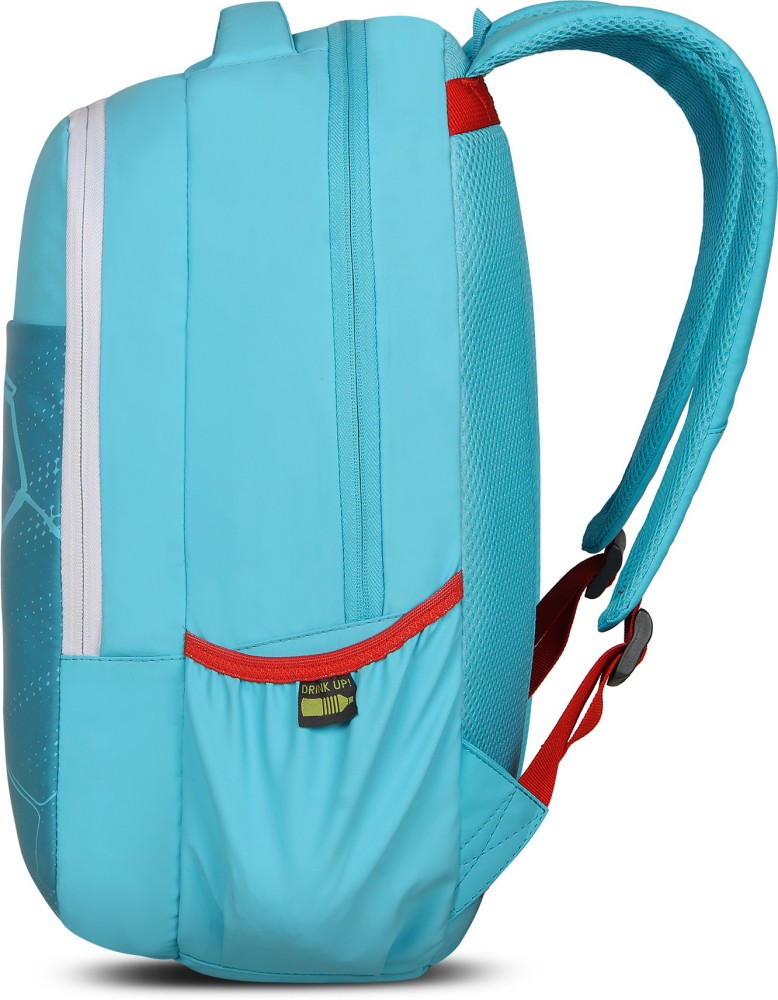 Skybags on snapdeal sale