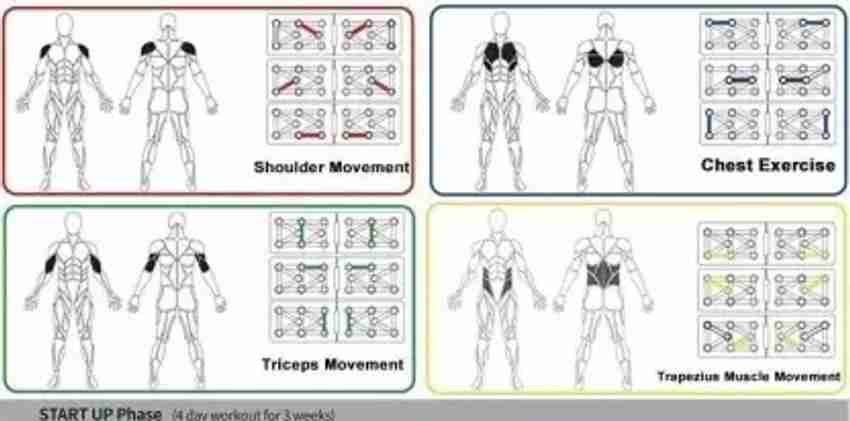 Push up board training plan deals