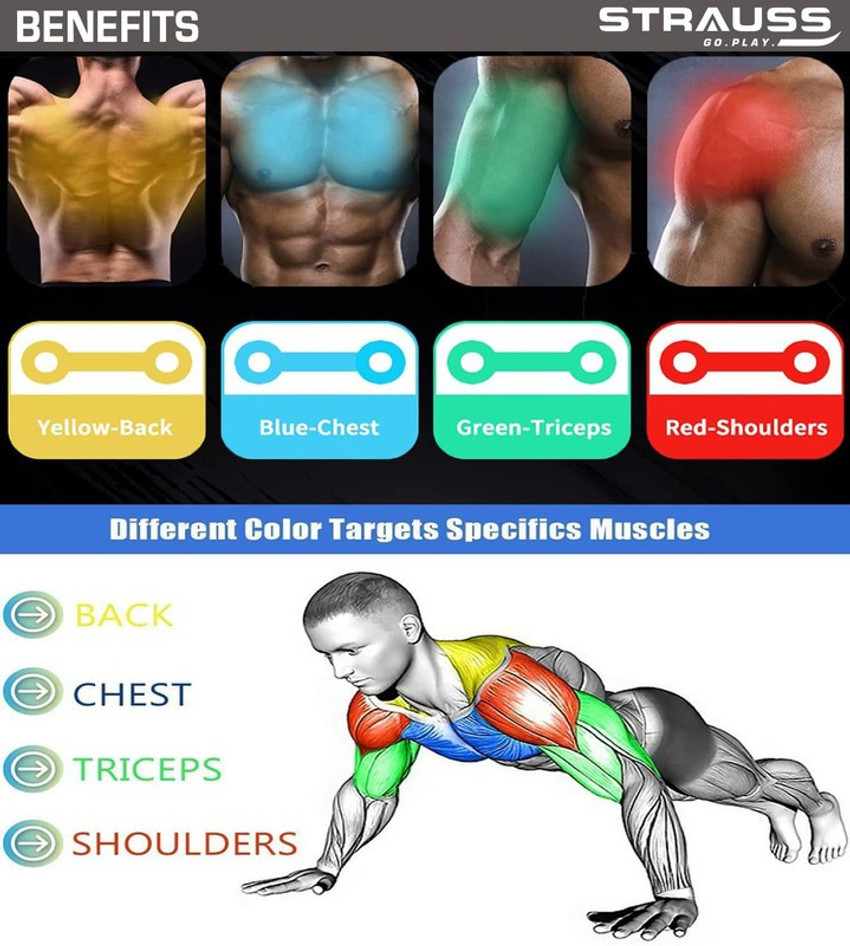 Best muscle building equipment top
