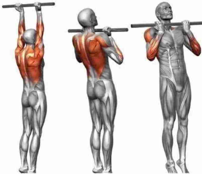 Allandale Exercise Pull up Bar with Chain 5 feet Multicolor Weight Lifting Bar Buy Allandale Exercise Pull up Bar with Chain 5 feet Multicolor Weight Lifting Bar Online at Best Prices in India