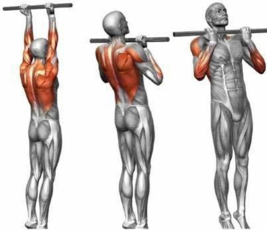 Allandale Exercise Pull up Bar with Chain 5 feet Multicolor Weight Lifting Bar Buy Allandale Exercise Pull up Bar with Chain 5 feet Multicolor Weight Lifting Bar Online at Best Prices in India