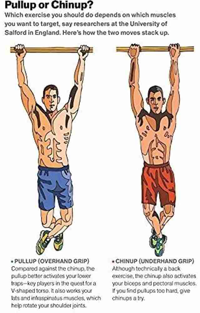 Ideal pull up bar height online