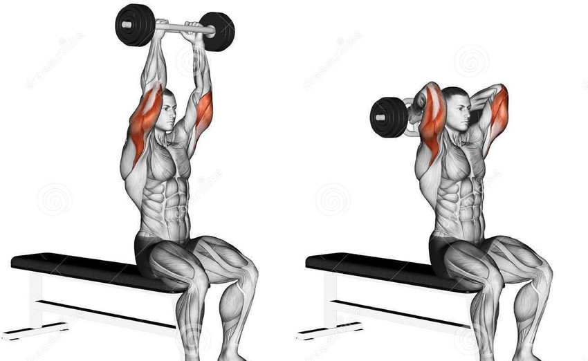 Biceps workout at home with dumbbells and rod deals