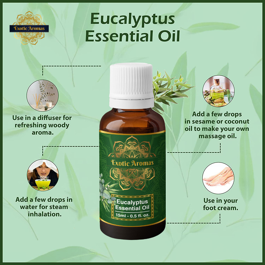 How to use eucalyptus oil for cough discount