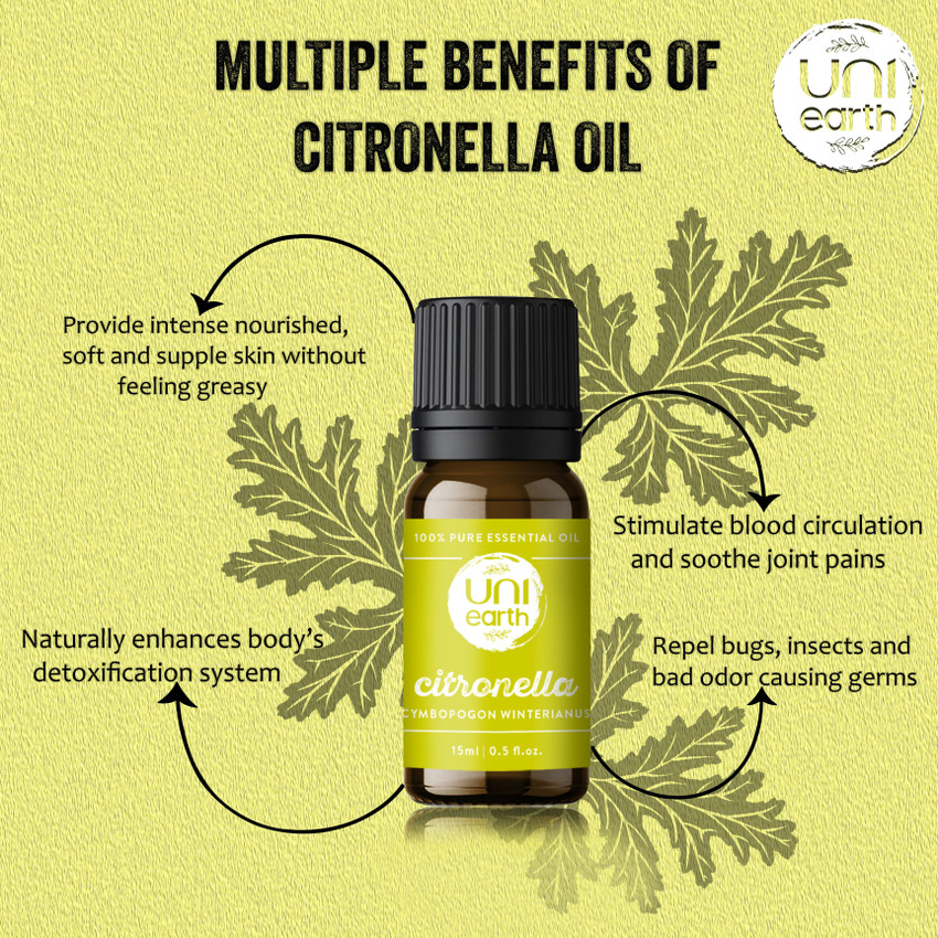Citronella shop young living
