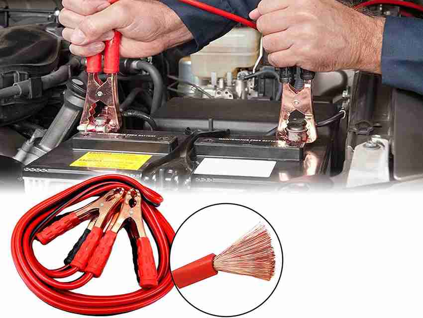 Lexus battery hot sale charger