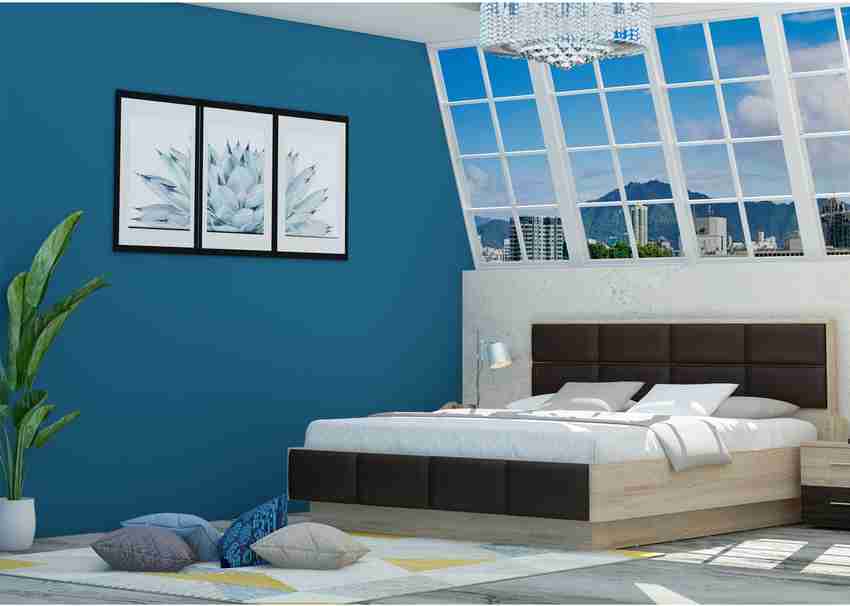 Zuari Urbano Engineered Wood Queen Hydraulic Box Bed Price in
