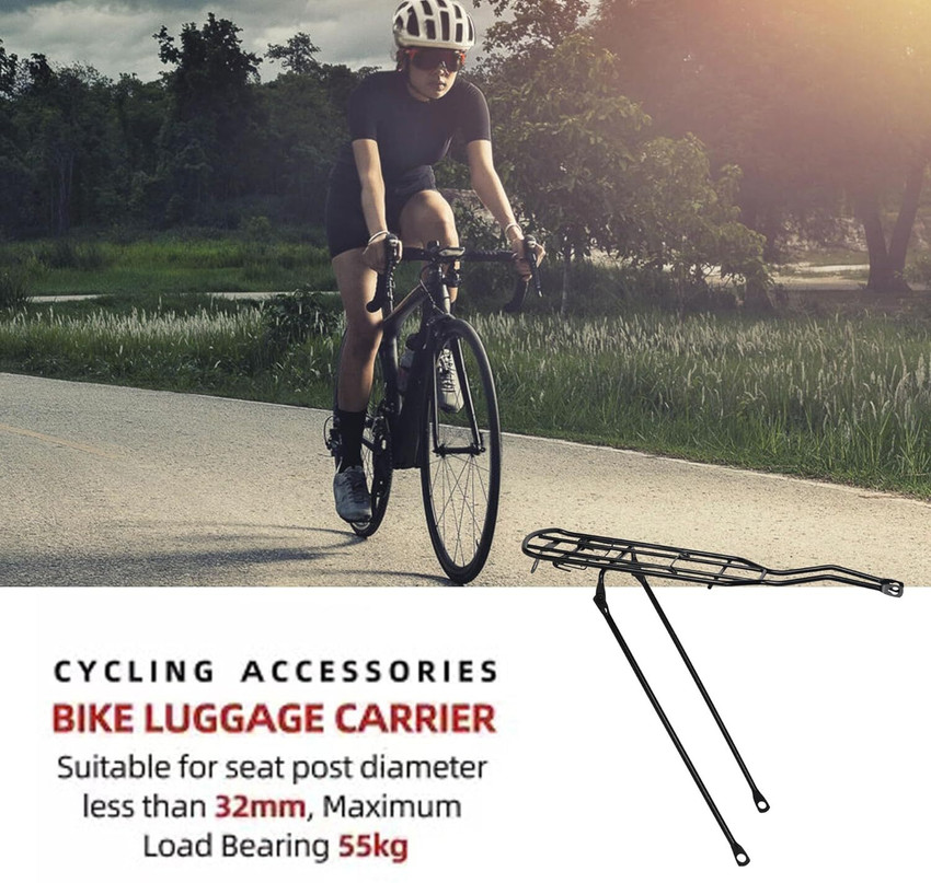 Mountain best sale bike luggage