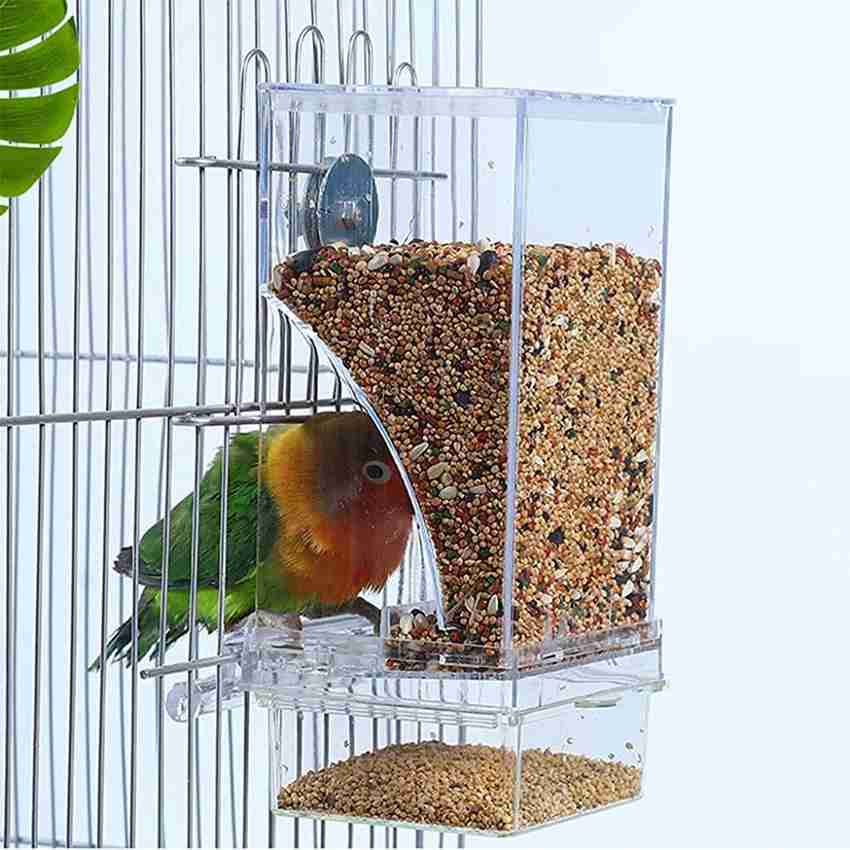 Automatic bird feeder for parrots new arrivals