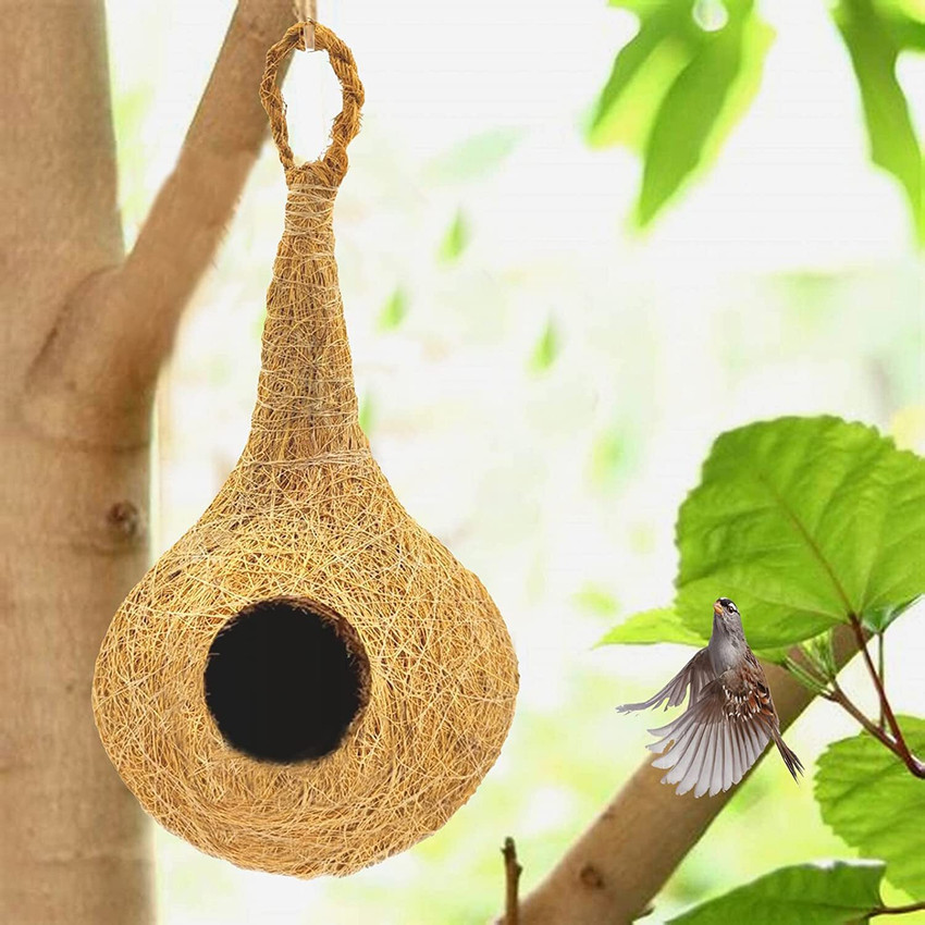 All birds clearance details