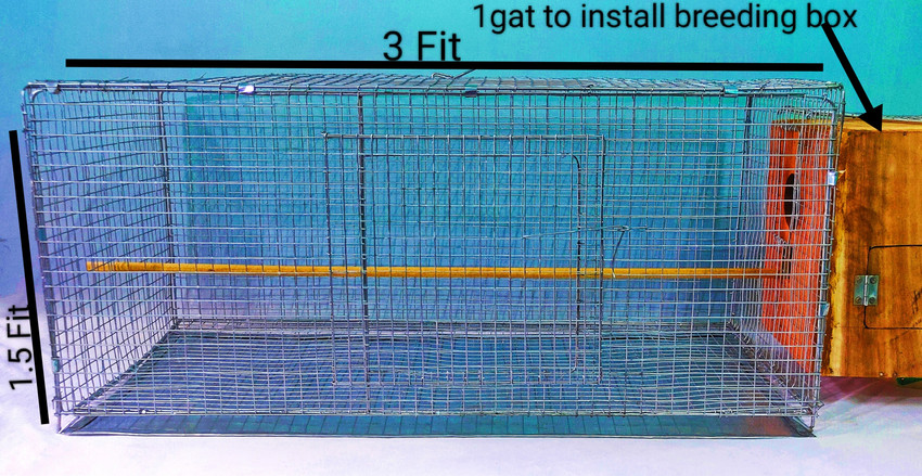 Pet Destiny bird cage 3FT 1.5FT Bird House Price in India Buy Pet Destiny bird cage 3FT 1.5FT Bird House online at Flipkart