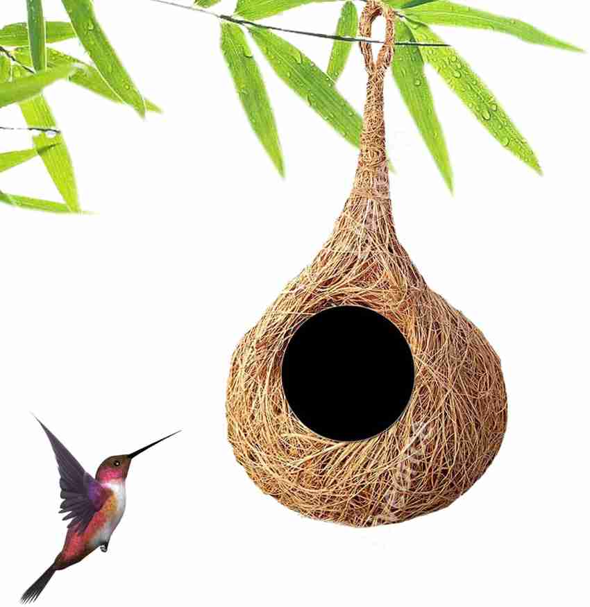 Buy Liveonce Decorative Natural Bird Nest (2 Birds) Online at Best Prices  in India - JioMart.