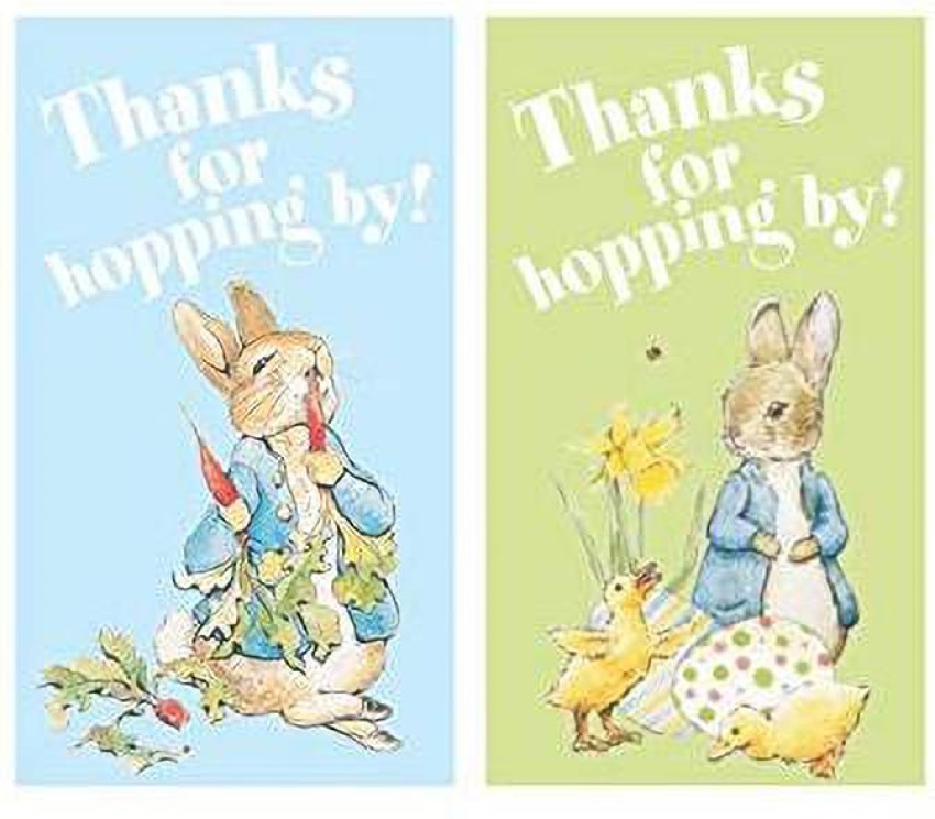Pretty UR Party Peter Rabbit Birthday Party Decorations Kit