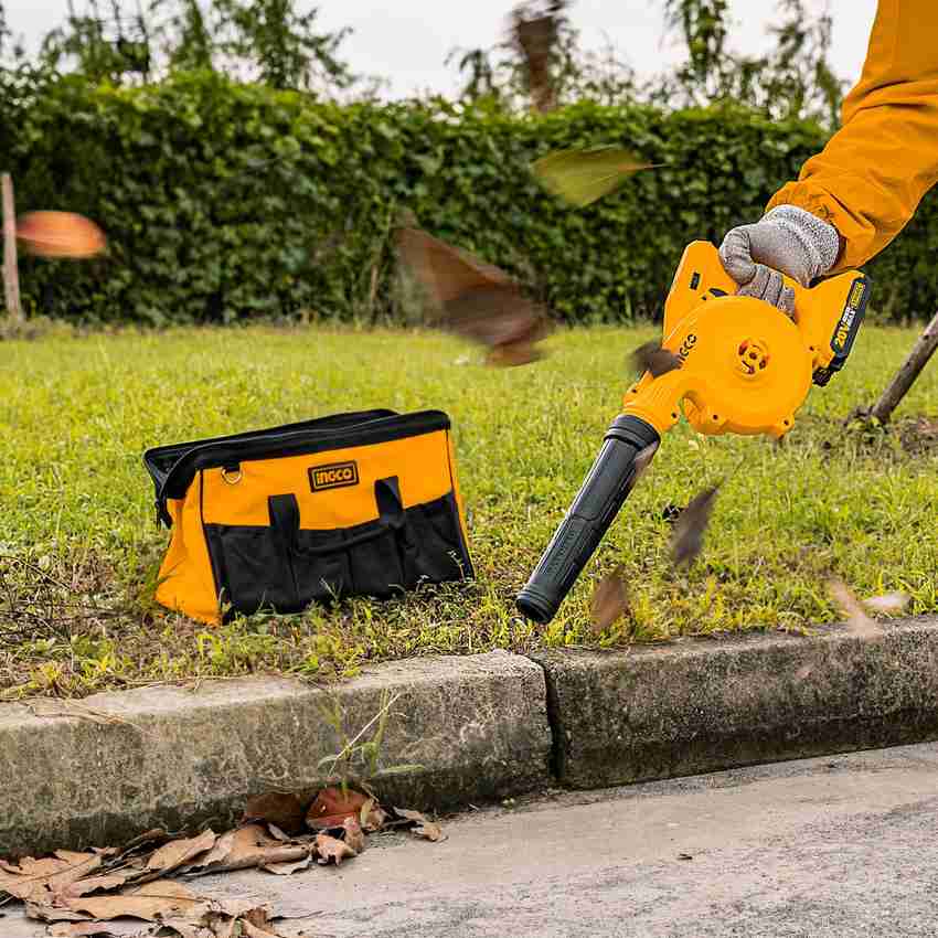 Cordless blower with store battery and charger