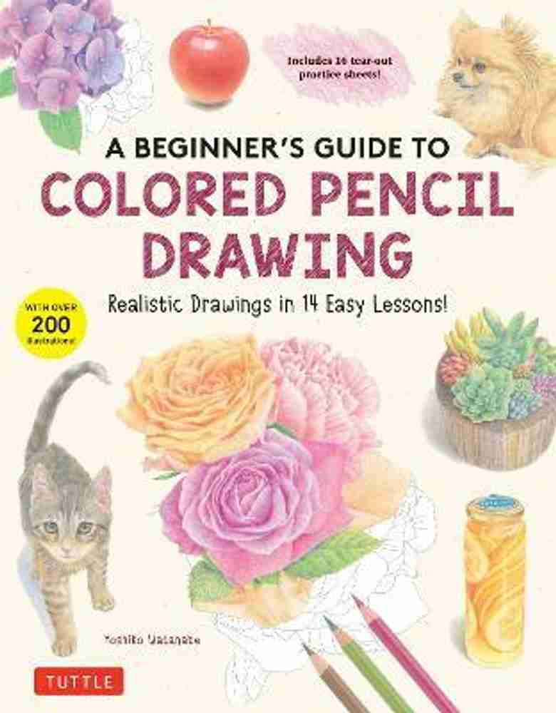 Artist pencils guide on sale
