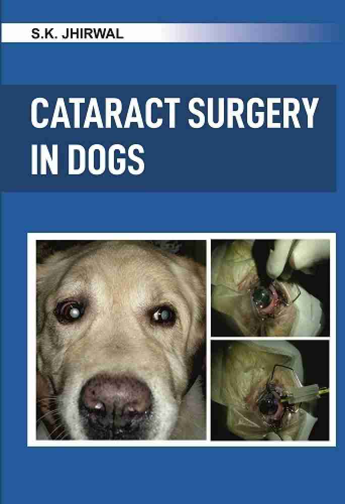 Cataract surgery for sales dogs