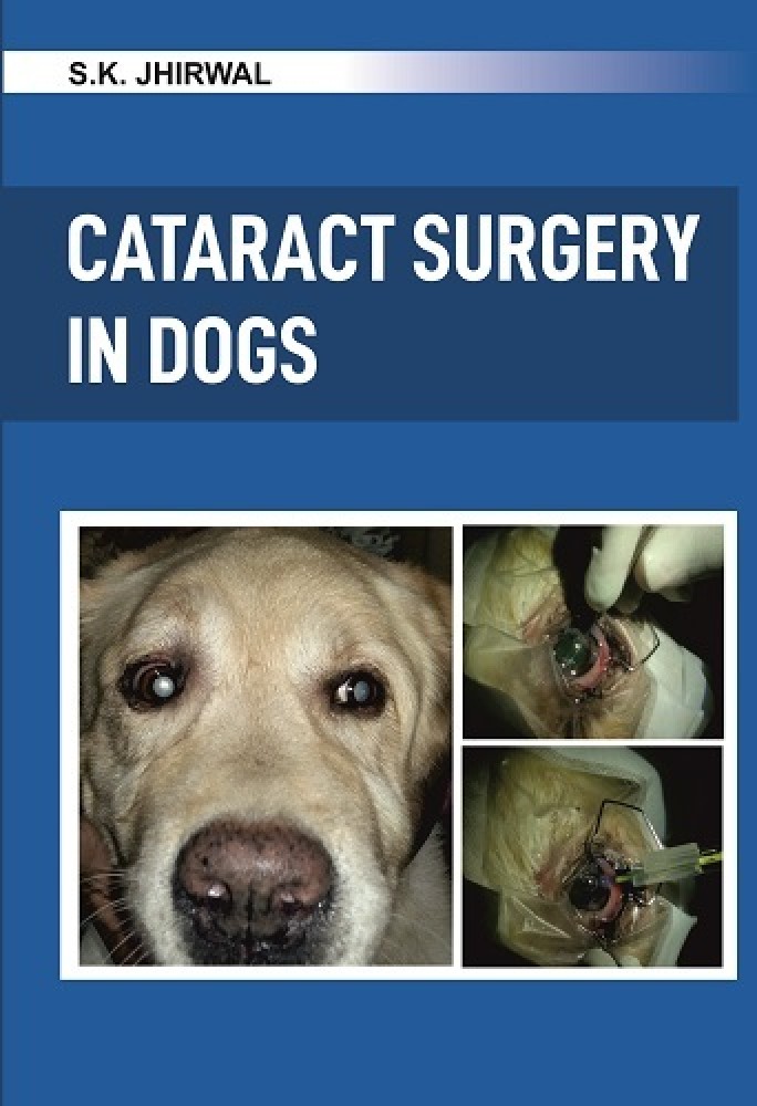 Cataract removal best sale for dogs