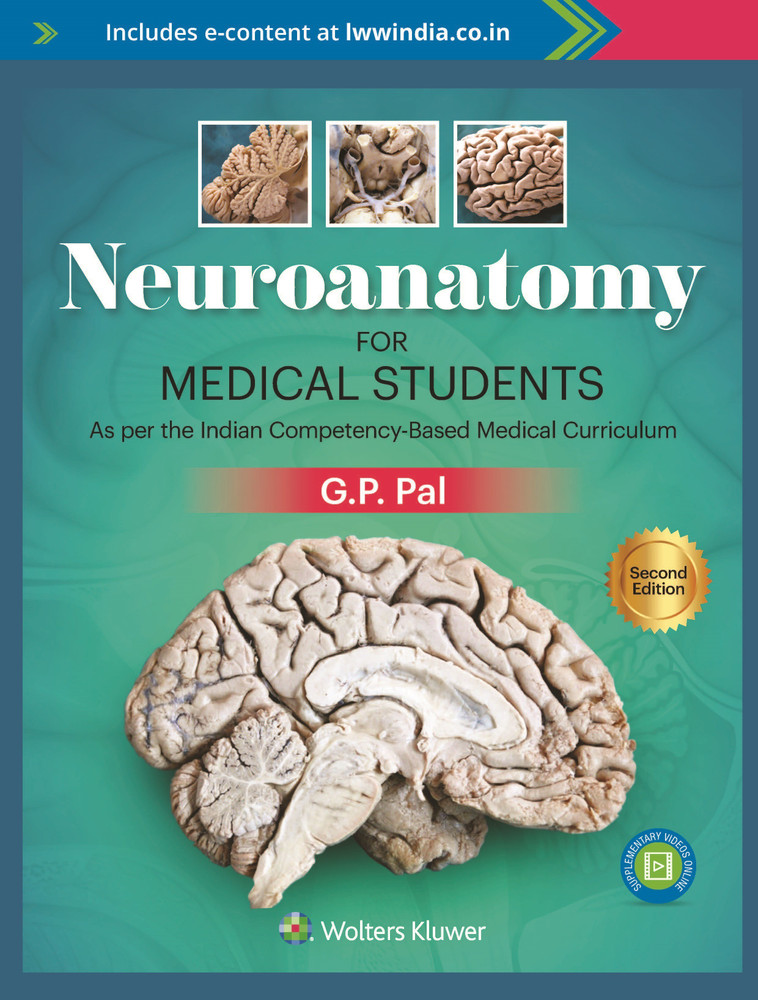 Neurological examination & neuroanatomy - EMCrit Project