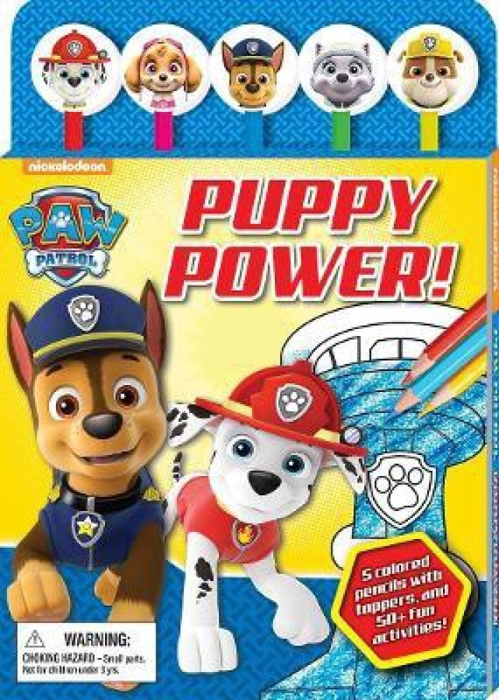 Magnetic Play Set: Nickelodeon PAW Patrol: Racing to the Rescue! : Book &  Magnetic Play Set (Mixed media product) 