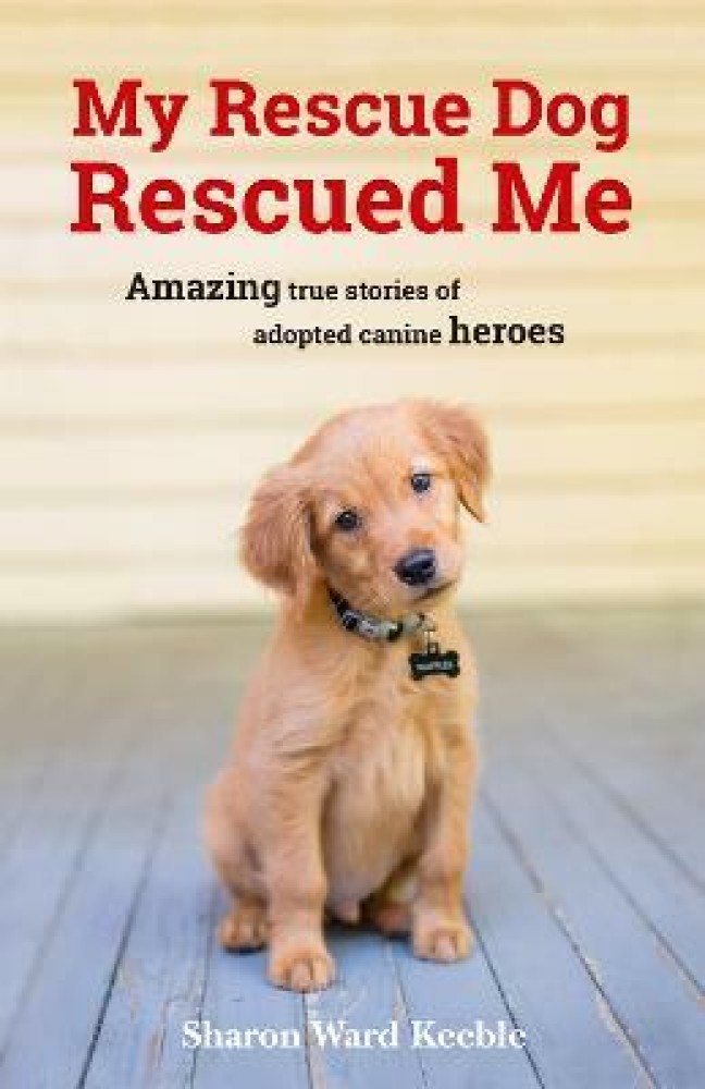 Buy a 2024 rescue dog