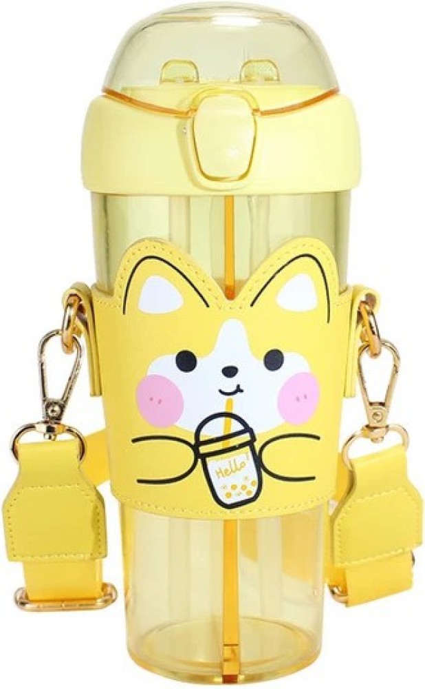 https://rukminim2.flixcart.com/image/850/1000/xif0q/bottle/1/x/r/530-cute-double-storage-compartment-water-bottle-with-sleev-original-imagg5hhbzv8xgaq.jpeg?q=90