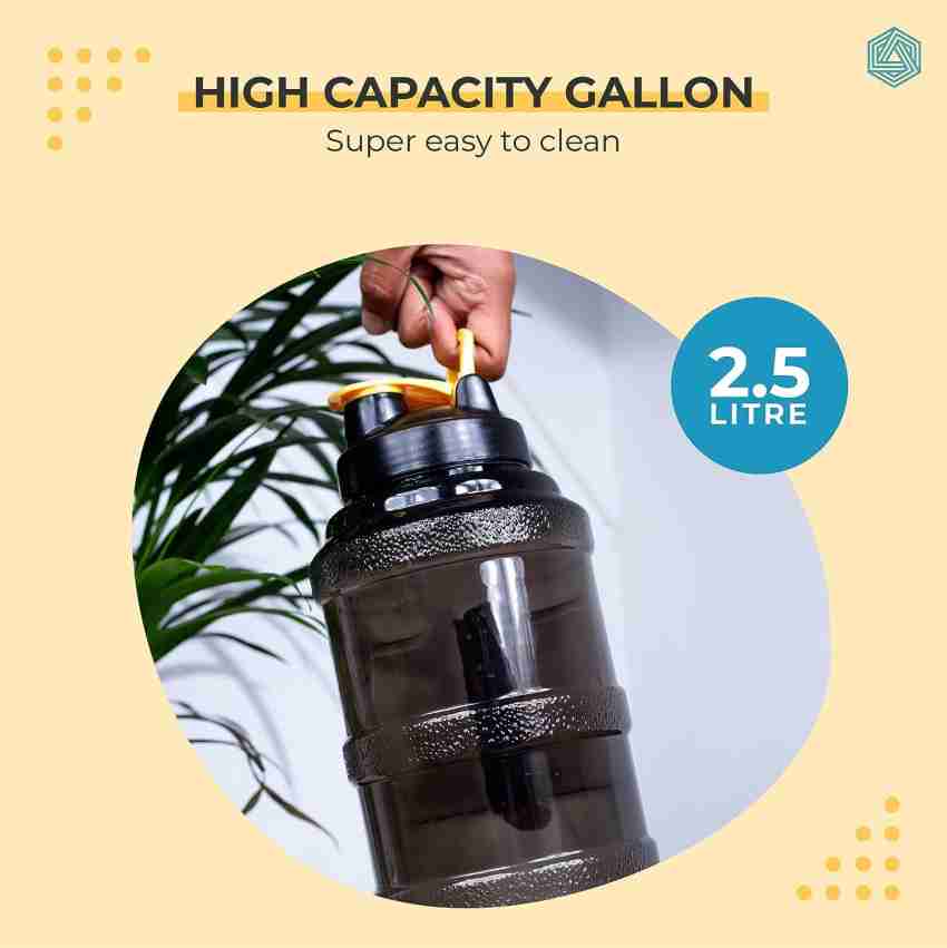 2.5 litres 2025 in gallons