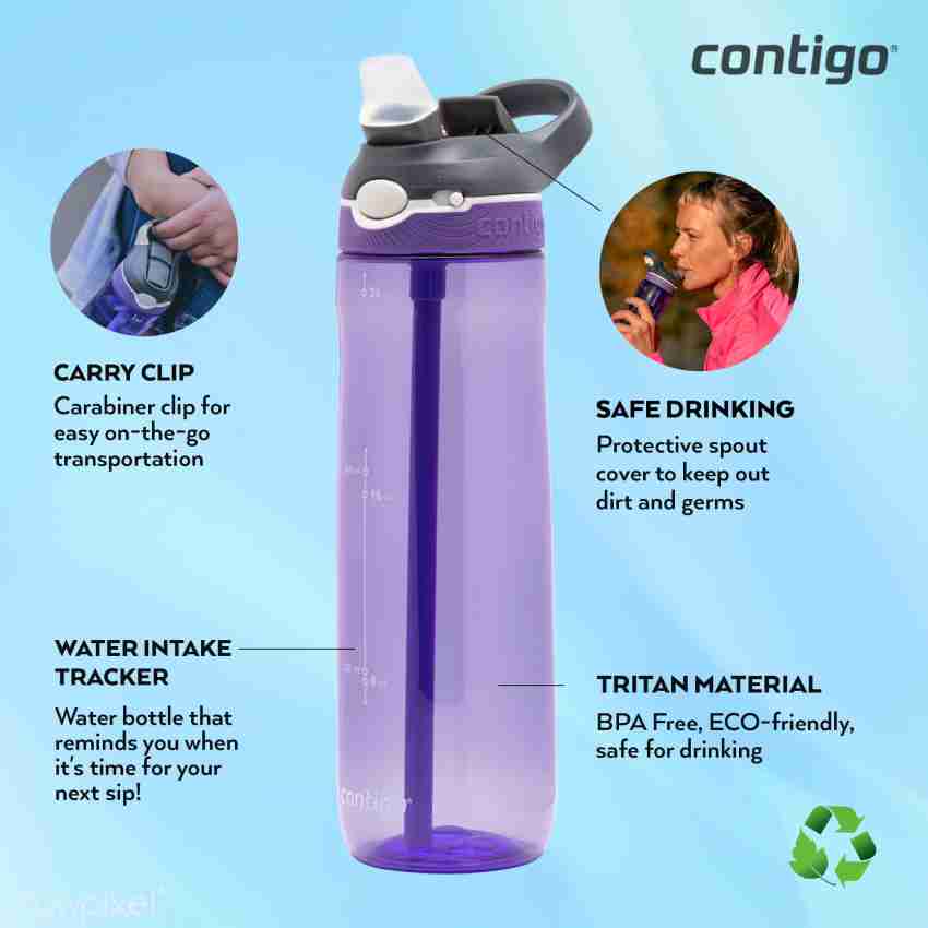 Contigo Autospout Ashland Water Bottle 720ml Straw Water Bottle Grapevine